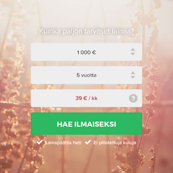 Kuinka paljon tarvitset lainaa?